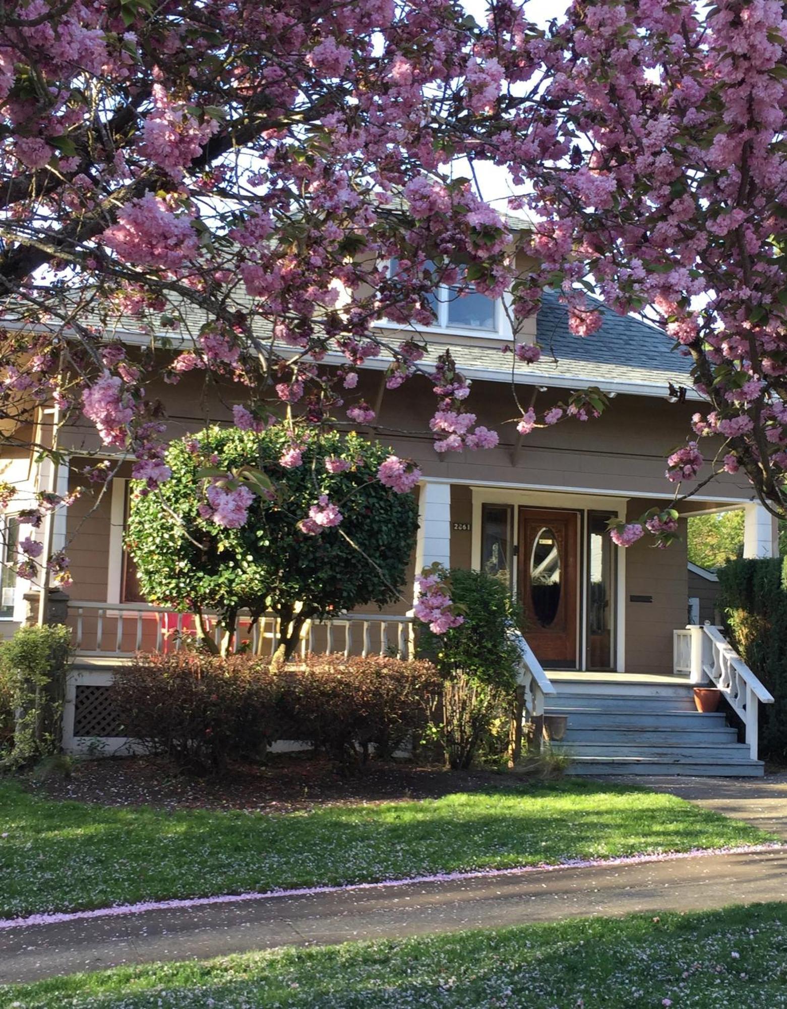 Southeast Portland Comfy & Eclectic Craftsman Home 外观 照片