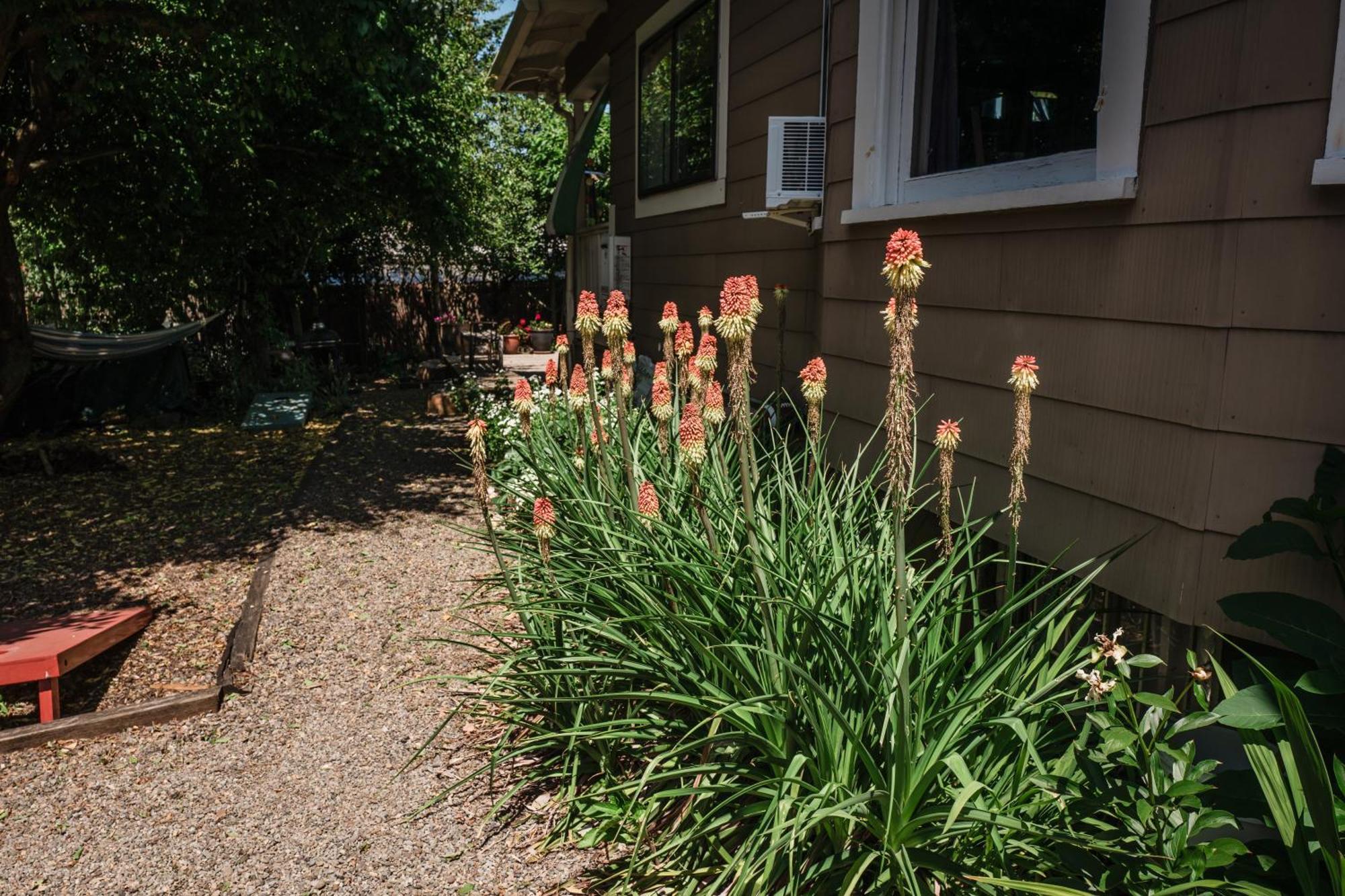 Southeast Portland Comfy & Eclectic Craftsman Home 外观 照片